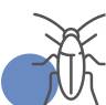 Insekti su prljava stvorenja